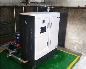 山西电锅炉-新疆欣乾润环保科技有限公司 60KW 供暖700平米