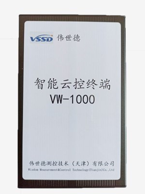 VW1000