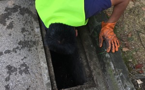 北京马桶堵了如何自己快速疏通?用这些工具自己轻松疏通马桶