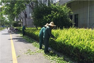 福州工厂保洁外包哪家好？从这五个方面进行判断