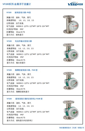VF100系列-金属浮子流量计