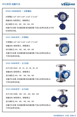 VF11系列-流量开关