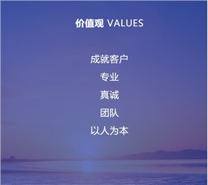 价值观 VALUES