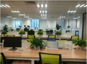 張江德國中心辦公樓招租