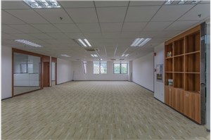 張江新希望半島科技園