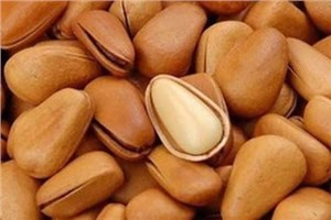 厦门糖果进口清关公司同你一起了解流程手续