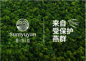 盐城vi设计公司要做哪些设计工作？怎么进行系统设计？