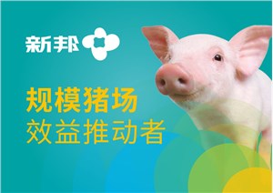 绍兴品牌设计公司如何做好品牌形象设计？