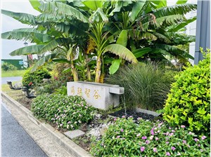 海聯智谷科創園