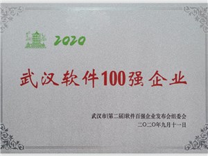 武汉软件100强企业