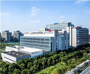 金创大厦【2026】
